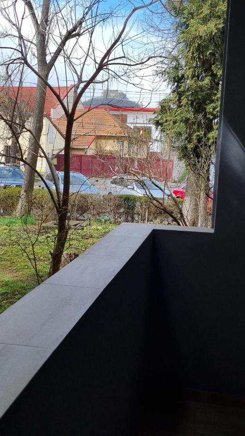 Central Studio 1 - Apartament 2 Camere Deva Dış mekan fotoğraf